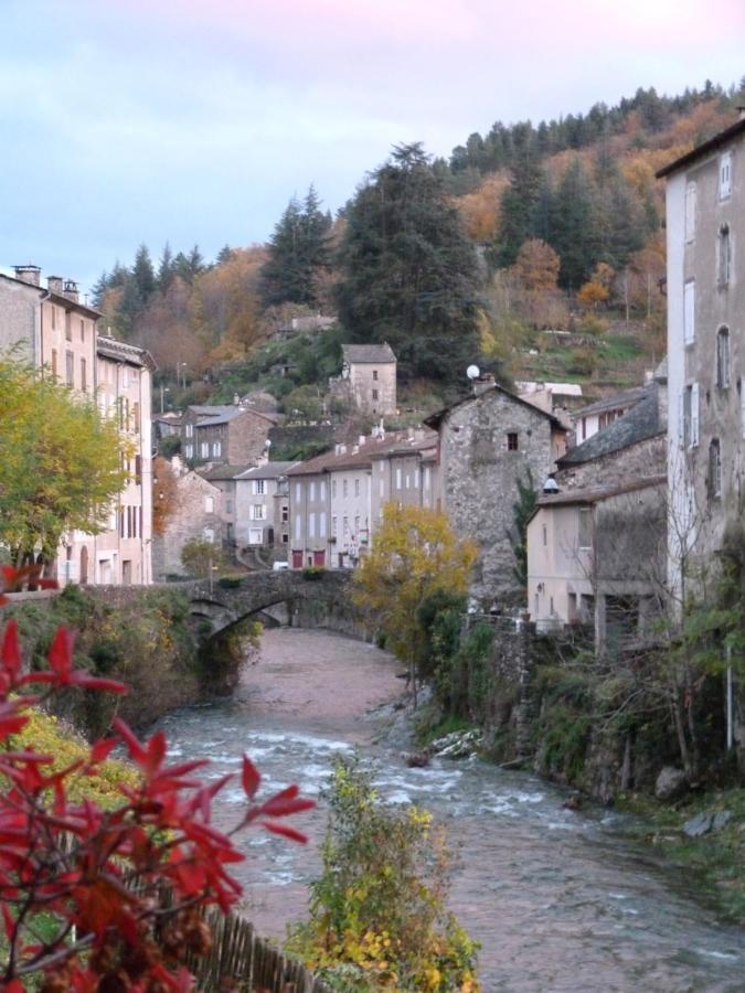 Cocon Des Cevennes - Pierre De Lune Saint-Andre-de-Valborgne Ngoại thất bức ảnh